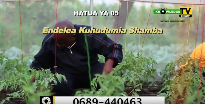 S01E47 - Jinsi ya Kulima Kwenye Shamba Kitalu (Green House) 